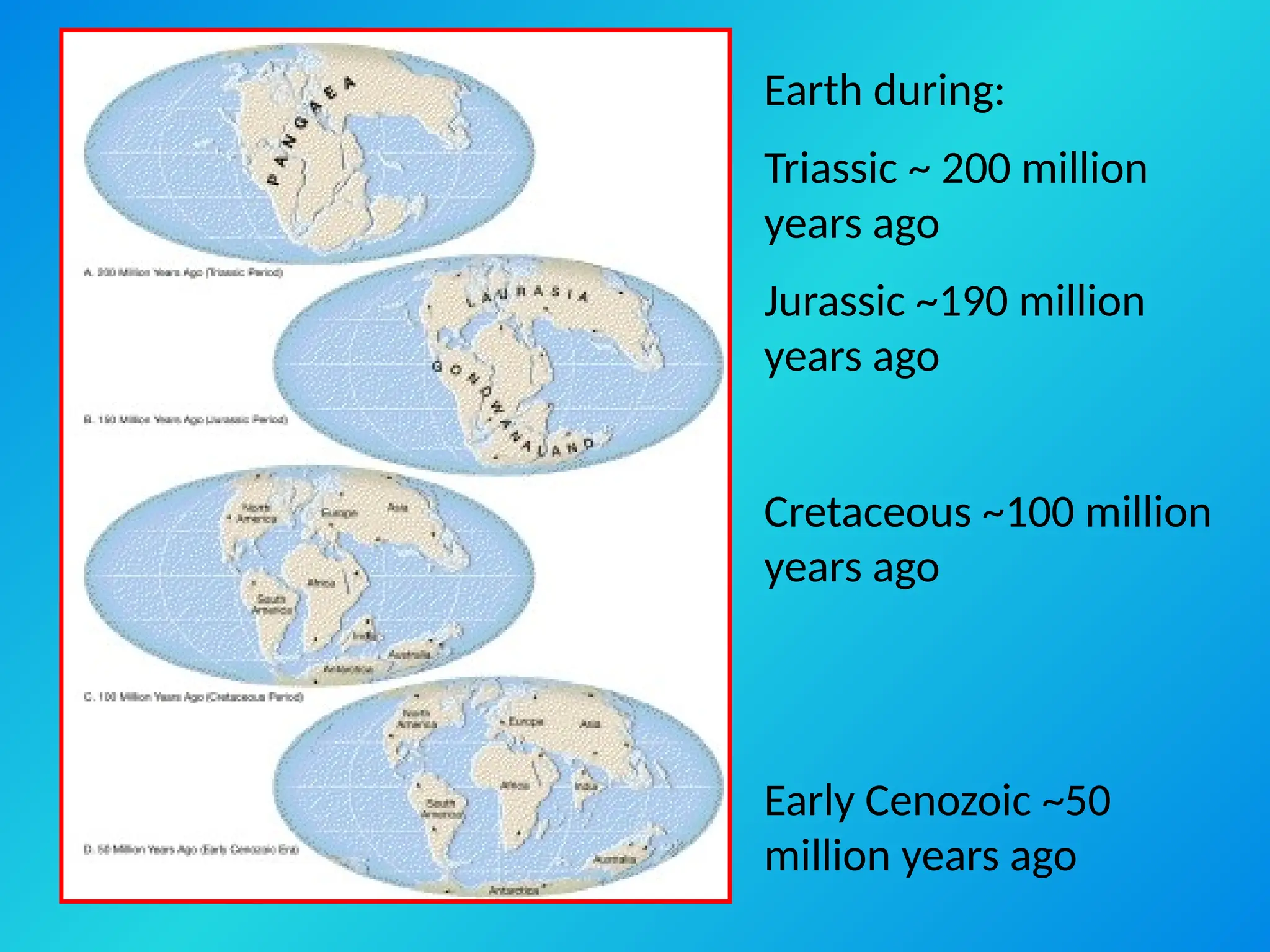 Earth during:
Triassic ~ 200 million
years ago
Jurassic ~190 million
years ago
Cretaceous ~100 million
years ago
Early Cenozoic ~50
million years ago
 