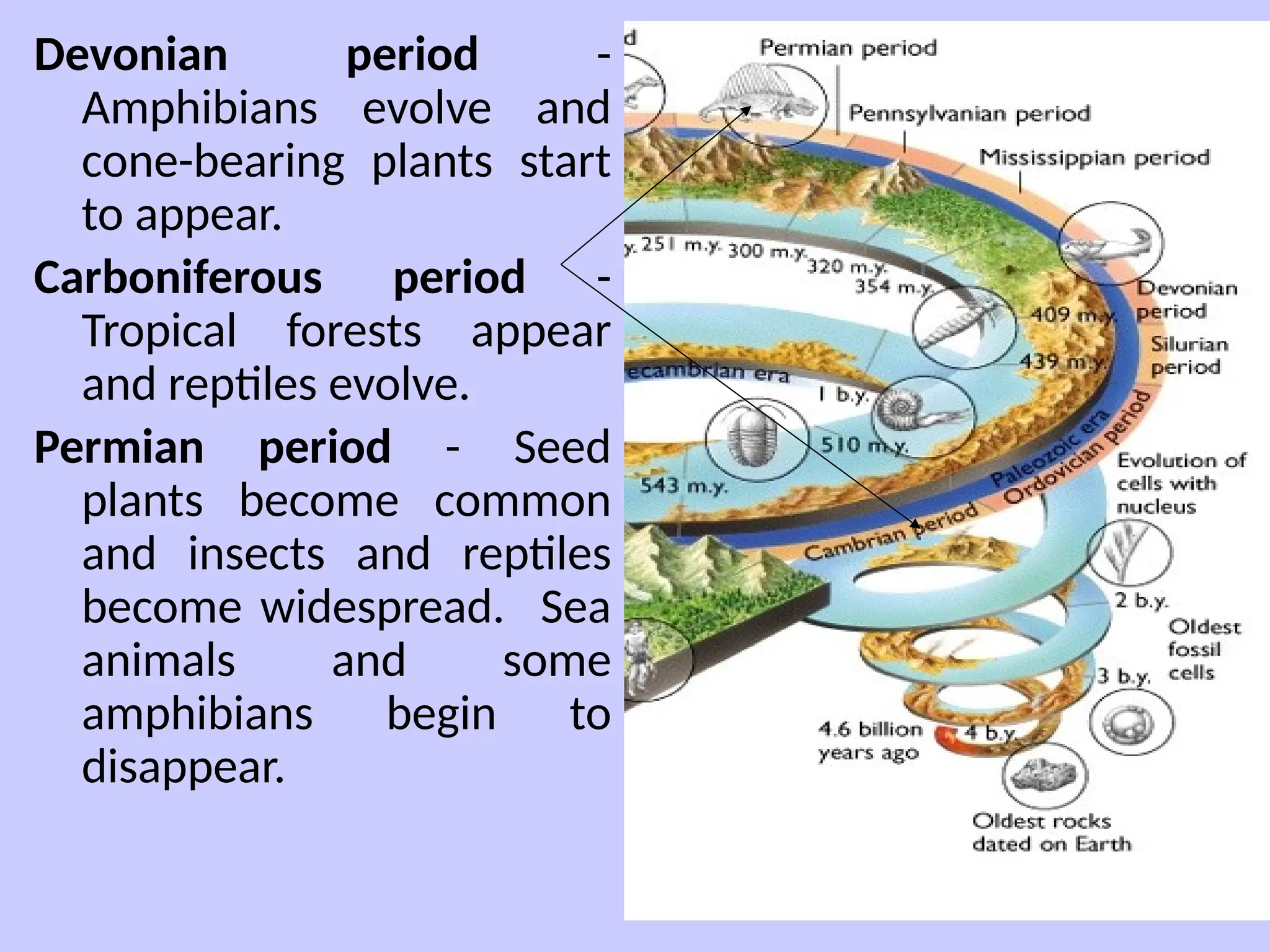 Devonian period -
Amphibians evolve and
cone-bearing plants start
to appear.
Carboniferous period -
Tropical forests appear
and reptiles evolve.
Permian period - Seed
plants become common
and insects and reptiles
become widespread. Sea
animals and some
amphibians begin to
disappear.
 