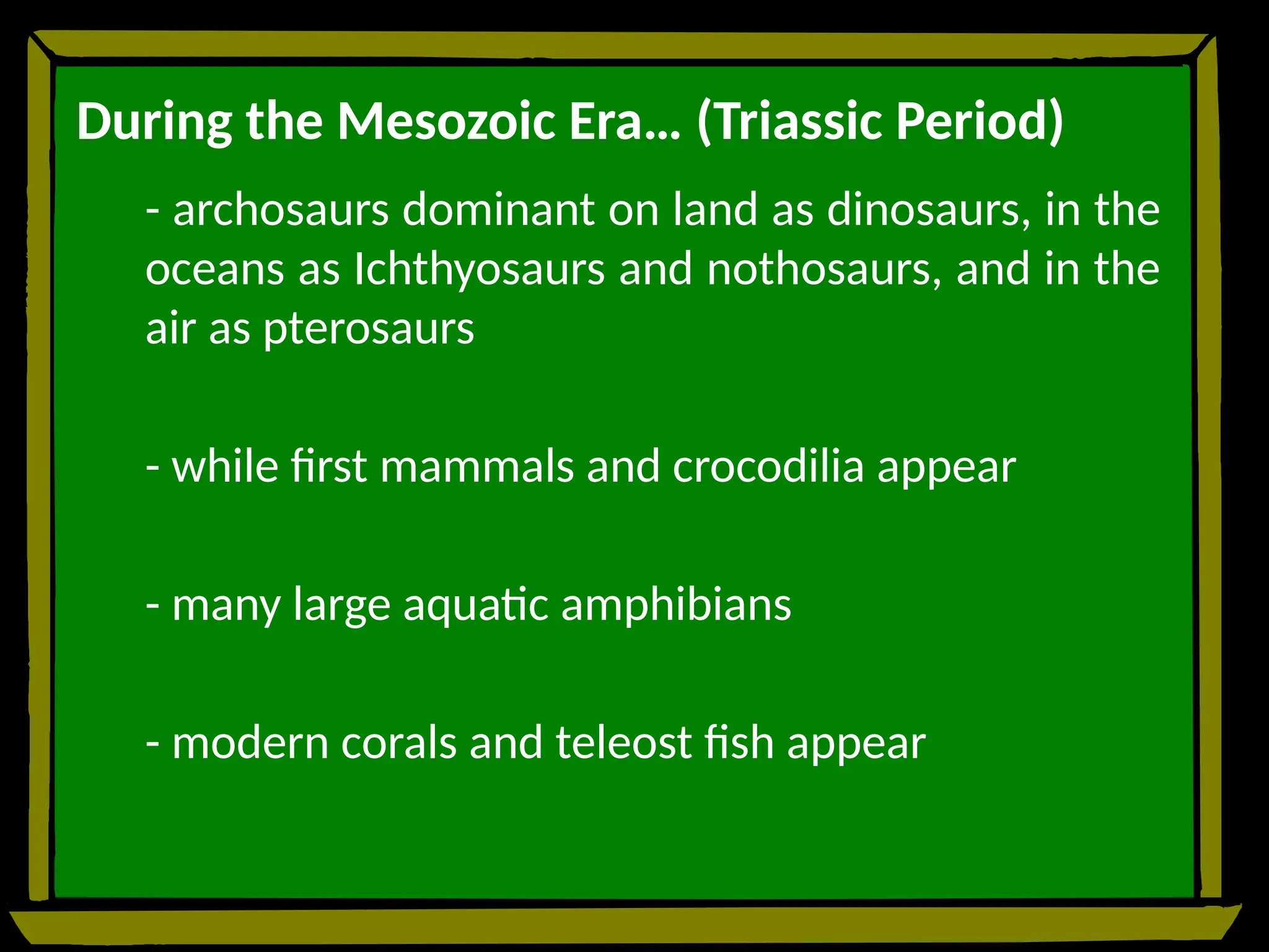 During the Mesozoic Era… (Triassic Period)
- archosaurs dominant on land as dinosaurs, in the
oceans as Ichthyosaurs and nothosaurs, and in the
air as pterosaurs
- while first mammals and crocodilia appear
- many large aquatic amphibians
- modern corals and teleost fish appear
 
