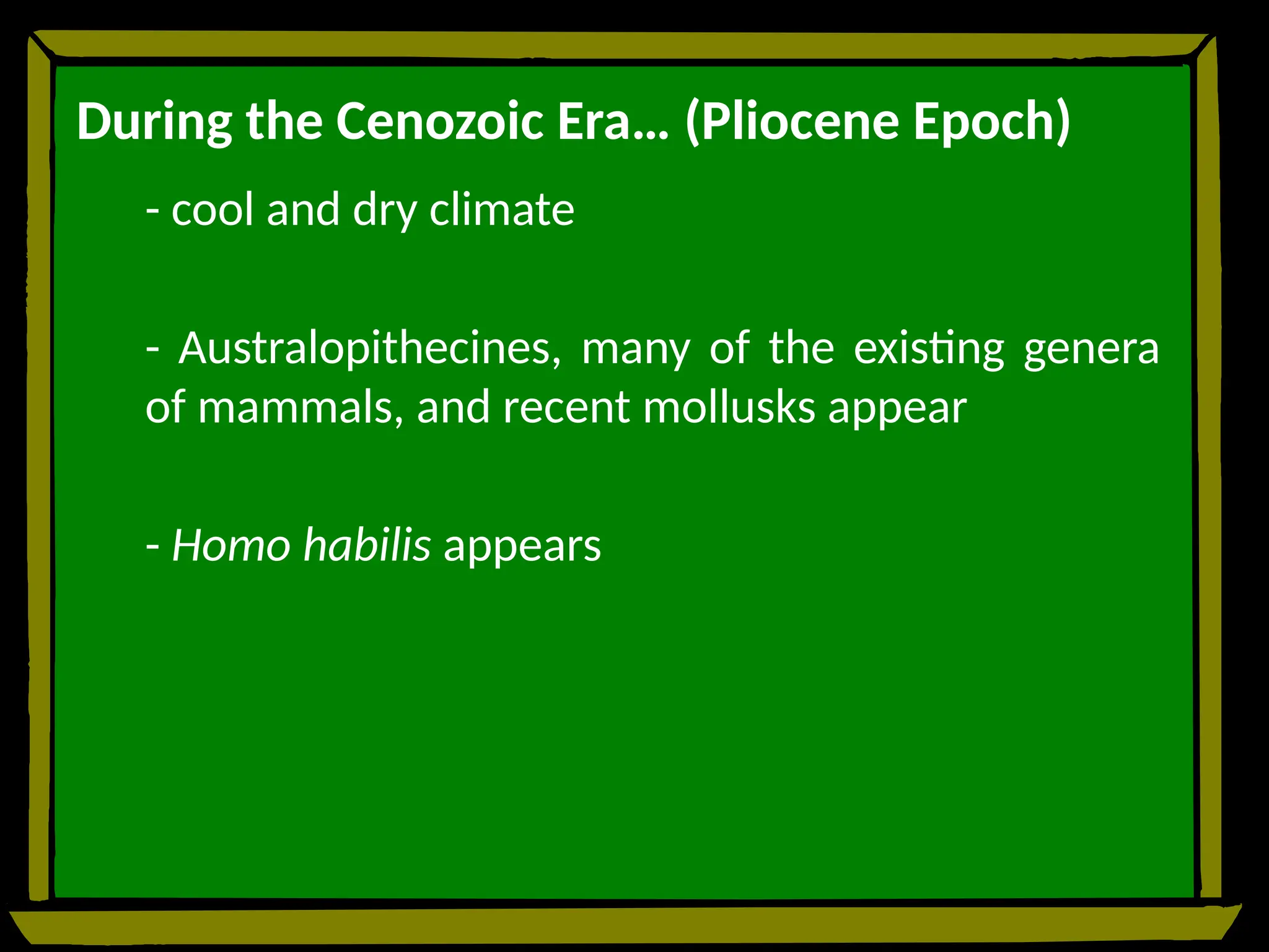 During the Cenozoic Era… (Pliocene Epoch)
- cool and dry climate
- Australopithecines, many of the existing genera
of mammals, and recent mollusks appear
- Homo habilis appears
 