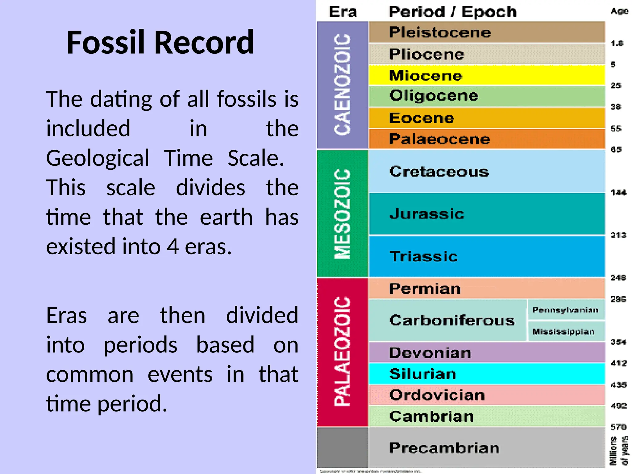 Fossil Record
The dating of all fossils is
included in the
Geological Time Scale.
This scale divides the
time that the earth has
existed into 4 eras.
Eras are then divided
into periods based on
common events in that
time period.
 