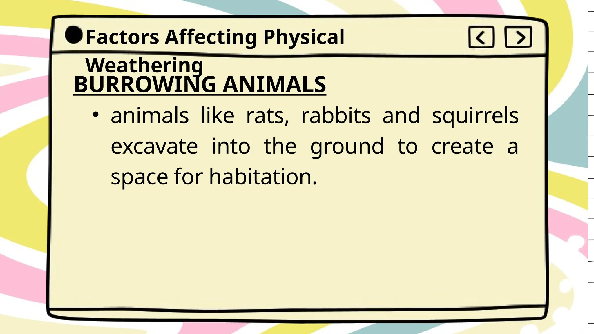 Factors Affecting Physical
Weathering
BURROWING ANIMALS
• animals like rats, rabbits and squirrels
excavate into the ground to create a
space for habitation.
 