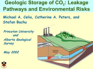 Geologic Storage of CO 2 : Leakage Pathways and Environmental Risks ,[object Object],Princeton University and Alberta Geological Survey May 2002 