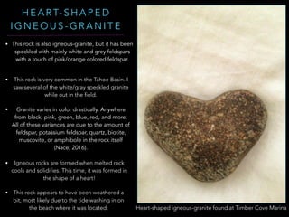 H E A R T- S H A P E D
I G N E O U S - G R A N I T E
Heart-shaped igneous-granite found at Timber Cove Marina
• This rock is also igneous-granite, but it has been
speckled with mainly white and grey feldspars
with a touch of pink/orange colored feldspar.
• This rock is very common in the Tahoe Basin. I
saw several of the white/gray speckled granite
while out in the field.
• Granite varies in color drastically. Anywhere
from black, pink, green, blue, red, and more.
All of these variances are due to the amount of
feldspar, potassium feldspar, quartz, biotite,
muscovite, or amphibole in the rock itself
(Nace, 2016).
• Igneous rocks are formed when melted rock
cools and solidifies. This time, it was formed in
the shape of a heart!
• This rock appears to have been weathered a
bit, most likely due to the tide washing in on
the beach where it was located.
 