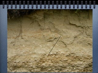 Geologic Time