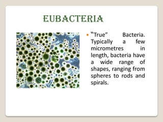 EUBACTERIA
          “True”      Bacteria.
           Typically   a     few
           micrometres         in
           length, bacteria have
           a wide range of
           shapes, ranging from
           spheres to rods and
           spirals.
 