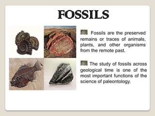 FOSSILS
        Fossils are the preserved
   remains or traces of animals,
   plants, and other organisms
   from the remote past.

       The study of fossils across
   geological time is one of the
   most important functions of the
   science of paleontology.
 