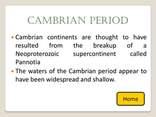 CAMBRIAN PERIOD
 Cambrian  continents are thought to have
  resulted   from    the   breakup    of    a
  Neoproterozoic     supercontinent    called
  Pannotia
 The waters of the Cambrian period appear to
  have been widespread and shallow.

                                     Home
 