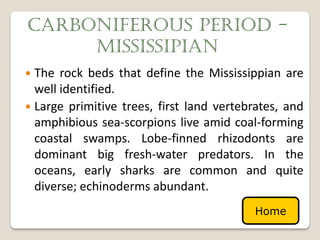 CARBONIFEROUS PERIOD -
     MISSISSIPIAN
 The rock beds that define the Mississippian are
  well identified.
 Large primitive trees, first land vertebrates, and
  amphibious sea-scorpions live amid coal-forming
  coastal swamps. Lobe-finned rhizodonts are
  dominant big fresh-water predators. In the
  oceans, early sharks are common and quite
  diverse; echinoderms abundant.
                                          Home
 