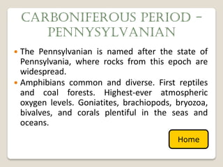 CARBONIFEROUS PERIOD -
       PENNYSYLVANIAN
 The Pennsylvanian is named after the state of
  Pennsylvania, where rocks from this epoch are
  widespread.
 Amphibians common and diverse. First reptiles
  and coal forests. Highest-ever atmospheric
  oxygen levels. Goniatites, brachiopods, bryozoa,
  bivalves, and corals plentiful in the seas and
  oceans.
                                          Home
 