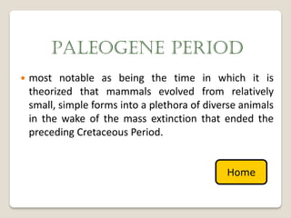 PALEOGENE PERIOD
   most notable as being the time in which it is
    theorized that mammals evolved from relatively
    small, simple forms into a plethora of diverse animals
    in the wake of the mass extinction that ended the
    preceding Cretaceous Period.


                                               Home
 