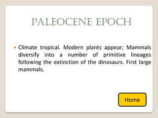 PALEOCENE EPOCH

   Climate tropical. Modern plants appear; Mammals
    diversify into a number of primitive lineages
    following the extinction of the dinosaurs. First large
    mammals.



                                               Home
 