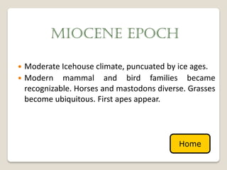 MIOCENE EPOCH

 Moderate Icehouse climate, puncuated by ice ages.
 Modern mammal and bird families became
  recognizable. Horses and mastodons diverse. Grasses
  become ubiquitous. First apes appear.




                                           Home
 