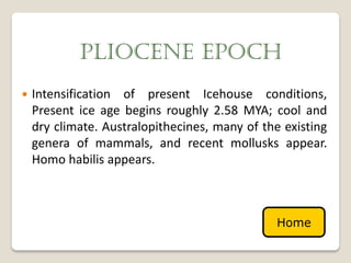 PLIOCENE EPOCH
   Intensification of present Icehouse conditions,
    Present ice age begins roughly 2.58 MYA; cool and
    dry climate. Australopithecines, many of the existing
    genera of mammals, and recent mollusks appear.
    Homo habilis appears.



                                               Home
 