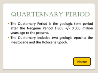 QUARTERNARY PERIOD
 The Quaternary Period is the geologic time period
  after the Neogene Period 1.805 +/- 0.005 million
  years ago to the present.
 The Quaternary includes two geologic epochs: the
  Pleistocene and the Holocene Epoch.




                                         Home
 