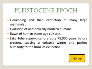 PLEISTOCENE EPOCH
 Flourishing and then extinction of many large
  mammals .
 Evolution of anatomically modern humans.
 Dawn of human stone-age cultures.
 Lake Toba supervolcano erupts 75,000 years before
  present, causing a volcanic winter and pushes
  humanity to the brink of extinction.


                                         Home
 