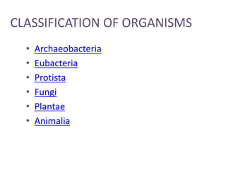 CLASSIFICATION OF ORGANISMS
  •   Archaeobacteria
  •   Eubacteria
  •   Protista
  •   Fungi
  •   Plantae
  •   Animalia
 