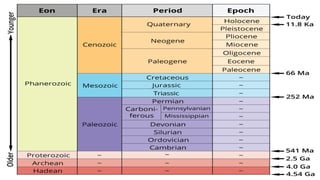 • PERIOD
–This is the basic unit of geologic time. A Period
lasts tens of millions of years, which is the
time it takes to form one type of rock system.
• EPOCH
– unit of geological time during which a rock
series is deposited.
UNITS OF TIME
 