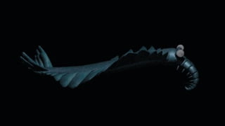 PERIOD
• Precambrian
– Beginning of earth
• Paleozoic
– Cambrian
The Cambrian Period marks an important
point in the history of life on Earth; it is the
time when many kinds of invertebrates
and the first vertebrates—fishes—
appeared in the fossil record.
 