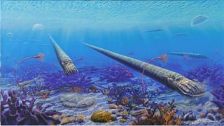 PERIOD
• Paleozoic
– Ordovician
During the Ordovician period, part of
the Paleozoic era, a rich variety of
marine life flourished in the vast
seas and the first primitive plants
began to appear on land.
 