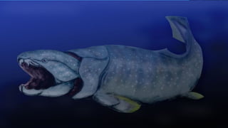PERIOD
• Paleozoic
– Devonian
The Devonian, part of the Paleozoic era, is
otherwise known as the Age of Fishes, as it
spawned a remarkable variety of fish. The
most formidable of them were the armored
placoderms, a group that first appeared
during the Silurian with powerful jaws lined
with bladelike plates that acted as teeth.
 