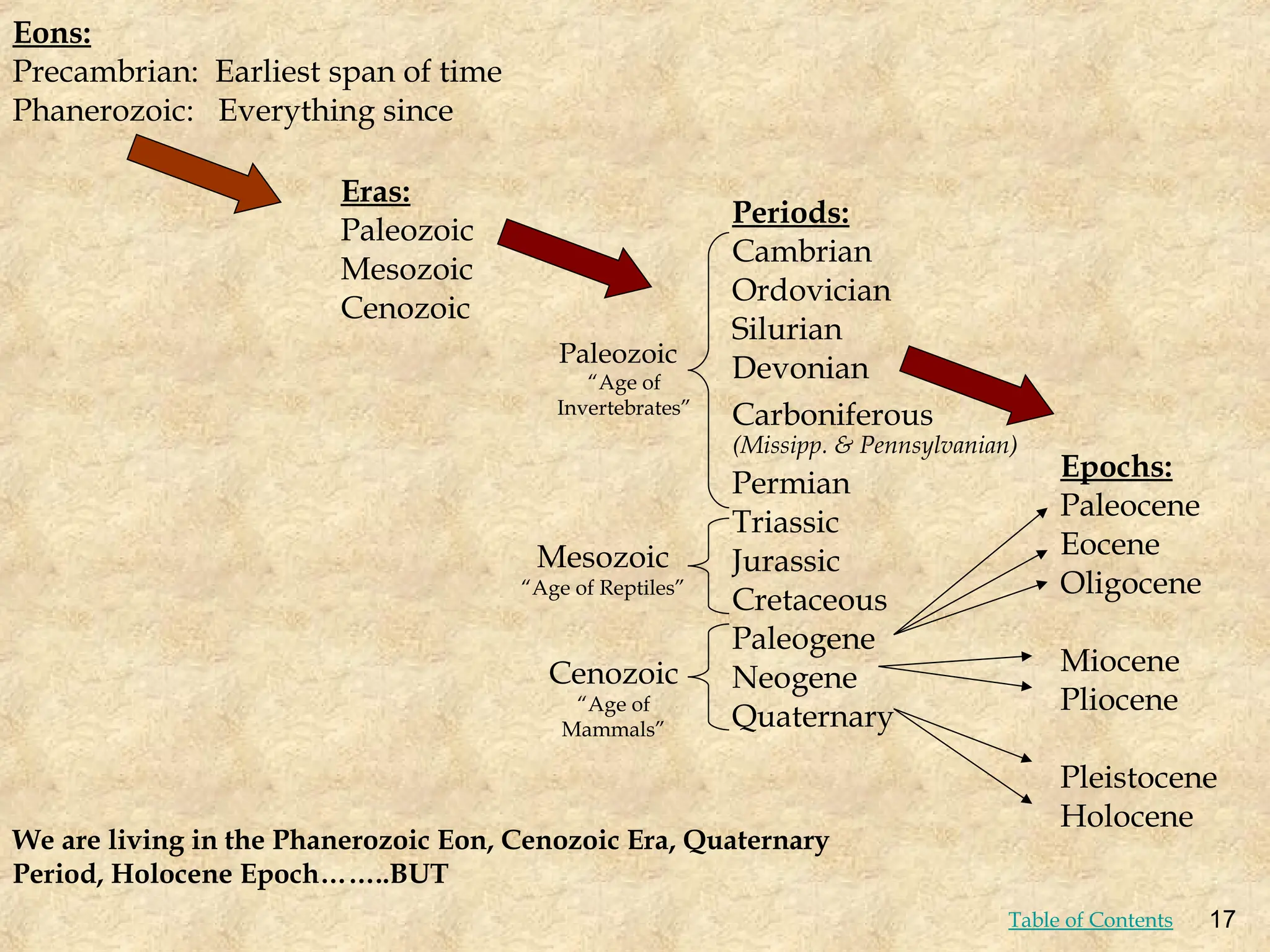 Eons:
Precambrian: Earliest span of time
Phanerozoic: Everything since
Eras:
Paleozoic
Mesozoic
Cenozoic
Periods:
Cambrian
Ordovician
Silurian
Devonian
Carboniferous
(Missipp. & Pennsylvanian)
Permian
Triassic
Jurassic
Cretaceous
Paleogene
Neogene
Quaternary
Epochs:
Paleocene
Eocene
Oligocene
Miocene
Pliocene
Pleistocene
Holocene
We are living in the Phanerozoic Eon, Cenozoic Era, Quaternary
Period, Holocene Epoch……..BUT
Paleozoic
“Age of
Invertebrates”
Mesozoic
“Age of Reptiles”
Cenozoic
“Age of
Mammals”
17
Table of Contents
 
