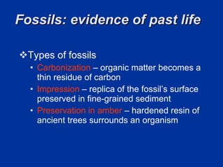 Fossils: evidence of past life  Types of fossils  Carbonization   – organic matter becomes a thin residue of carbon   Impression   – replica of the fossil’s surface preserved in fine-grained sediment   Preservation in amber  – hardened resin of ancient trees surrounds an organism   
