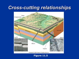 Cross-cutting relationships Figure 11.5 