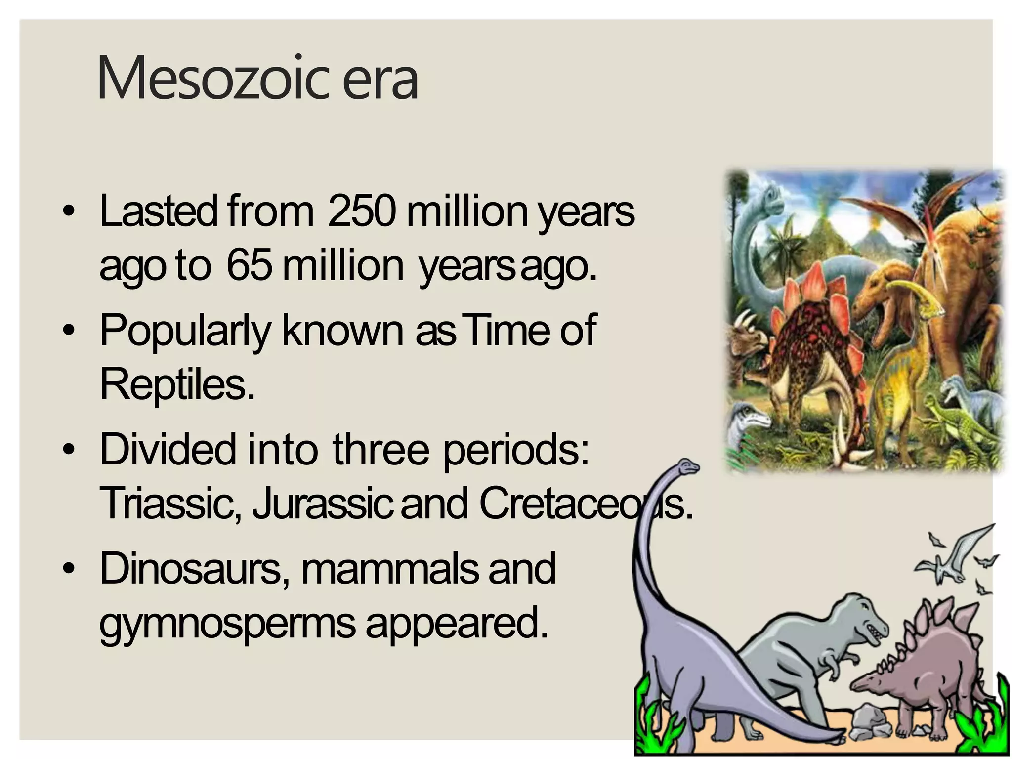 Mesozoic era
• Lastedfrom 250 millionyears
agoto 65 million yearsago.
• Popularly known asTime of
Reptiles.
• Divided into three periods:
Triassic, Jurassicand Cretaceous.
• Dinosaurs, mammals and
gymnosperms appeared.
 