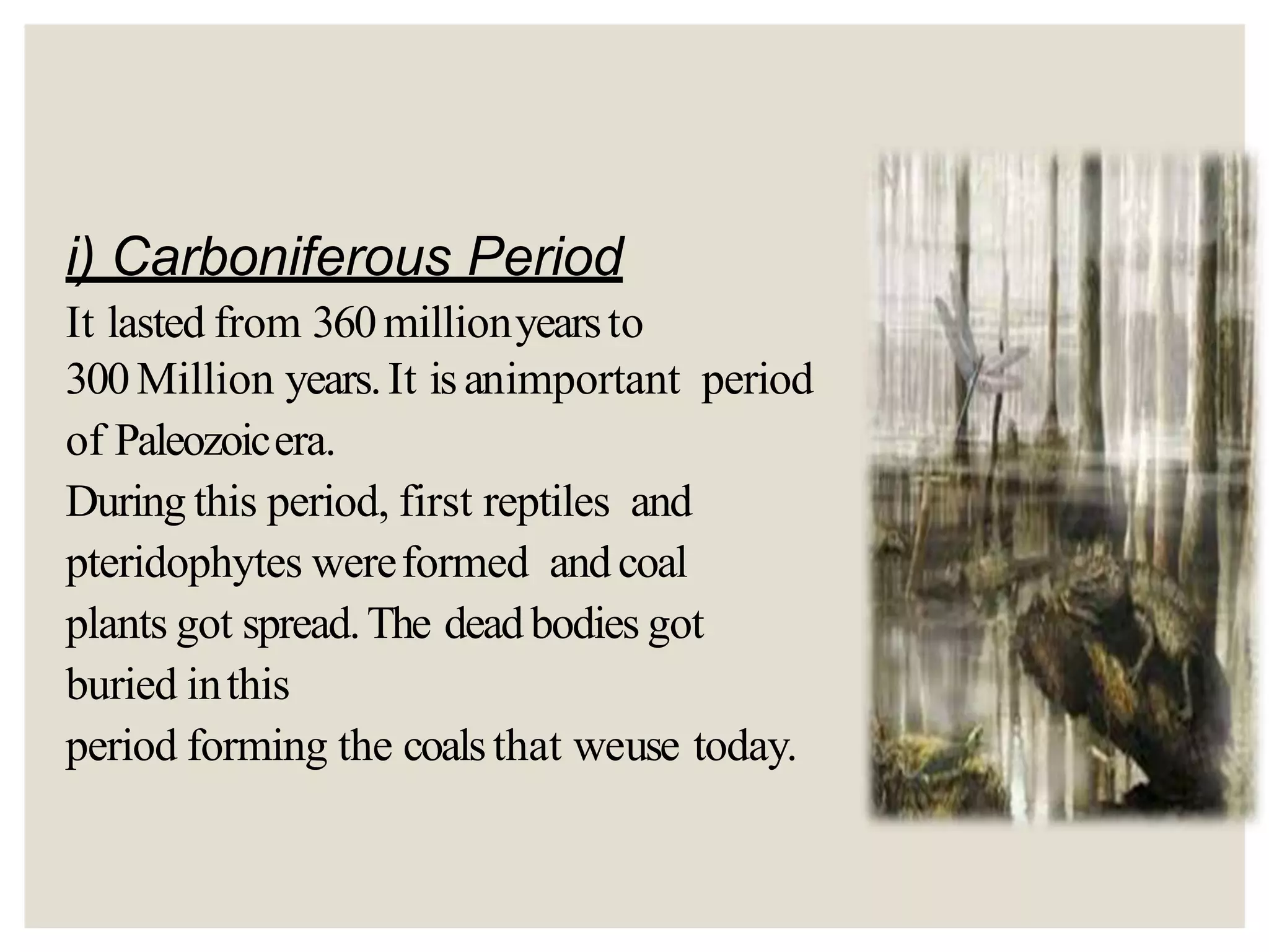 i) Carboniferous Period
It lasted from 360millionyearsto
300Million years.It isanimportant period
of Paleozoicera.
During this period, first reptiles and
pteridophytes wereformed andcoal
plants got spread.The deadbodies got
buried inthis
period forming the coalsthat weuse today.
 