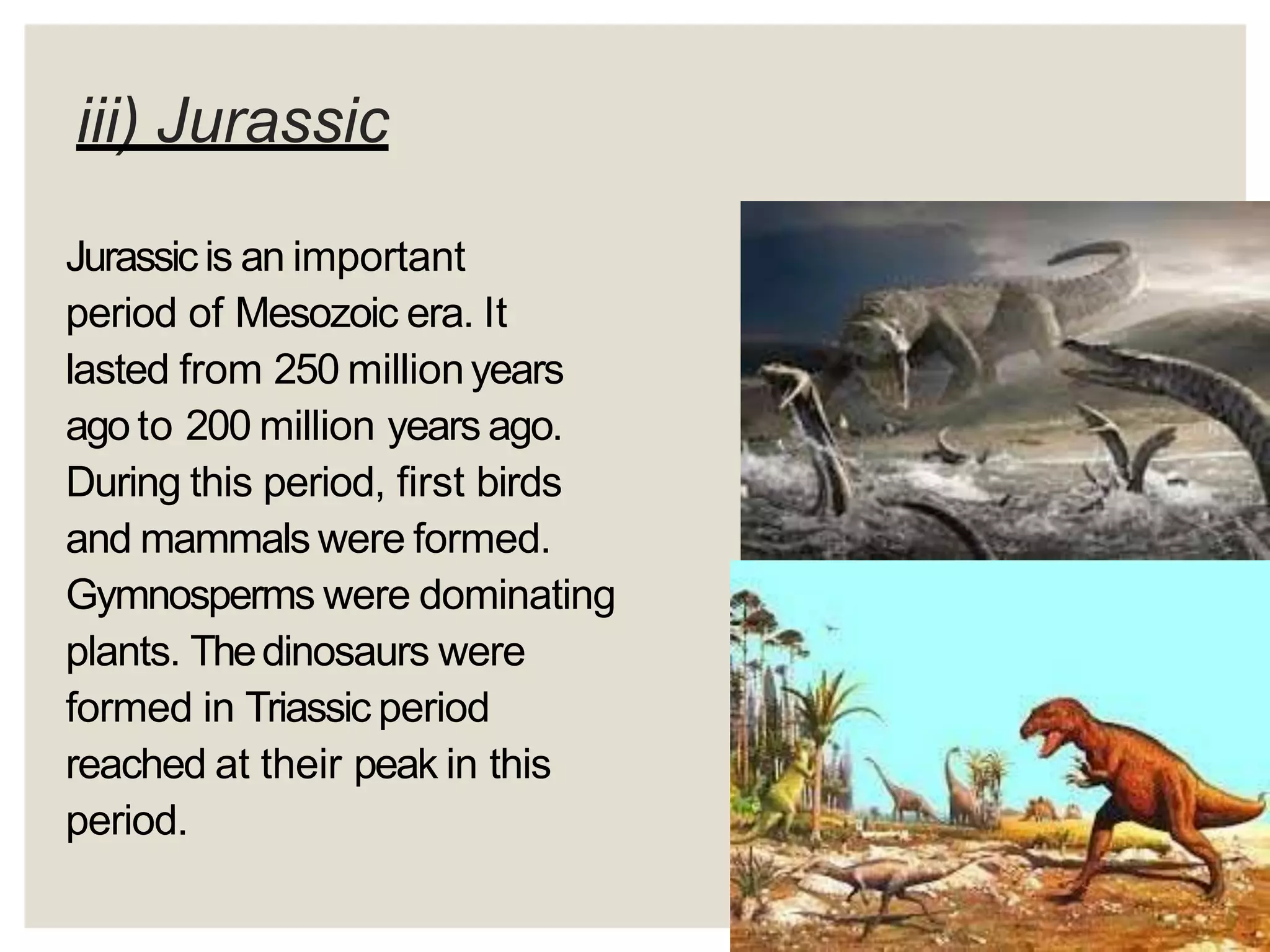 iii) Jurassic
Jurassic is an important
period of Mesozoic era. It
lasted from 250 millionyears
ago to 200 million years ago.
During this period, first birds
and mammals were formed.
Gymnosperms were dominating
plants. Thedinosaurs were
formed in Triassic period
reached at their peak in this
period.
 