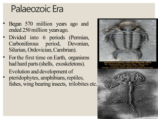 PalaeozoicEra
•
•
•
•
Began 570 million years ago and
ended 250million yearsago.
Divided into 6 periods (Permian,
Carboniferous period, Devonian,
Silurian, Ordovician,Cambrian).
Forthe first time on Earth, organisms
hadhard parts(shells, exoskeletons).
Evolution anddevelopment of
pteridophytes, amphibians,reptiles,
fishes, wing bearing insects, trilobites etc.
 
