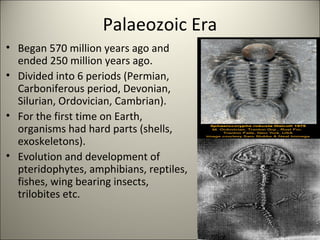 Palaeozoic Era
• Began 570 million years ago and
ended 250 million years ago.
• Divided into 6 periods (Permian,
Carboniferous period, Devonian,
Silurian, Ordovician, Cambrian).
• For the first time on Earth,
organisms had hard parts (shells,
exoskeletons).
• Evolution and development of
pteridophytes, amphibians, reptiles,
fishes, wing bearing insects,
trilobites etc.
 