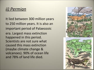 ii) Permian
It lied between 300 million years
to 250 million years. It is also an
important period of Palaeozoic
era. Largest mass extinction
happened in this period.
Scientists are not sure what
caused this mass extinction
(maybe climate change &
volcanoes). 90% of ocean life
and 78% of land life died.
 