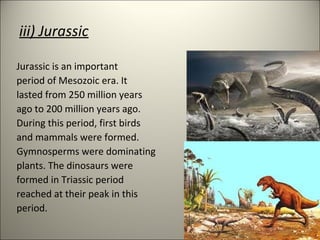 iii) Jurassic
Jurassic is an important
period of Mesozoic era. It
lasted from 250 million years
ago to 200 million years ago.
During this period, first birds
and mammals were formed.
Gymnosperms were dominating
plants. The dinosaurs were
formed in Triassic period
reached at their peak in this
period.
 