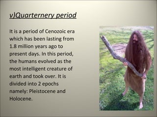 v)Quarternery period
It is a period of Cenozoic era
which has been lasting from
1.8 million years ago to
present days. In this period,
the humans evolved as the
most intelligent creature of
earth and took over. It is
divided into 2 epochs
namely: Pleistocene and
Holocene.
 
