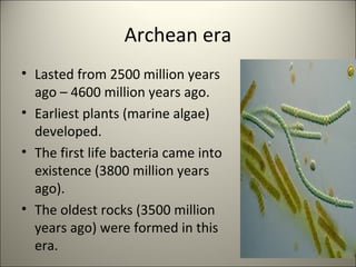 Archean era
• Lasted from 2500 million years
ago – 4600 million years ago.
• Earliest plants (marine algae)
developed.
• The first life bacteria came into
existence (3800 million years
ago).
• The oldest rocks (3500 million
years ago) were formed in this
era.
 