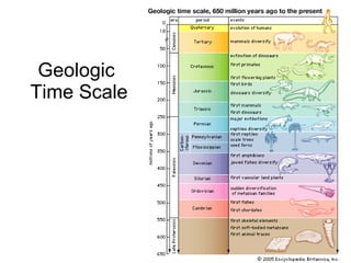 Geologic  Time Scale 