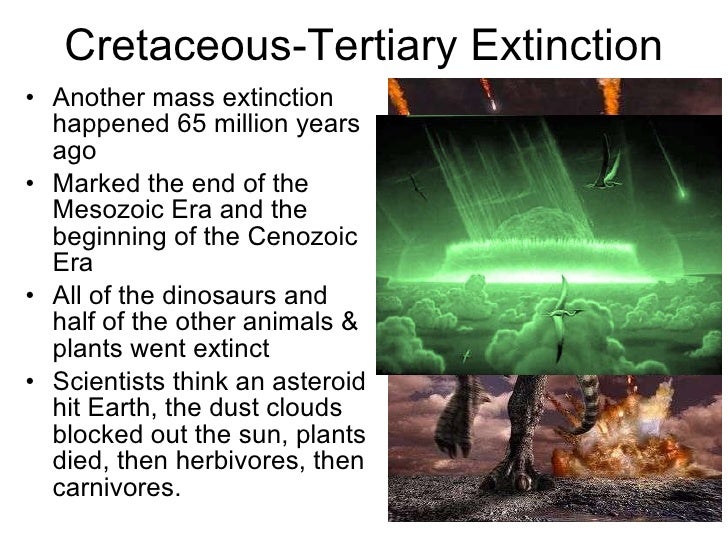 cretaceous mass extinction
