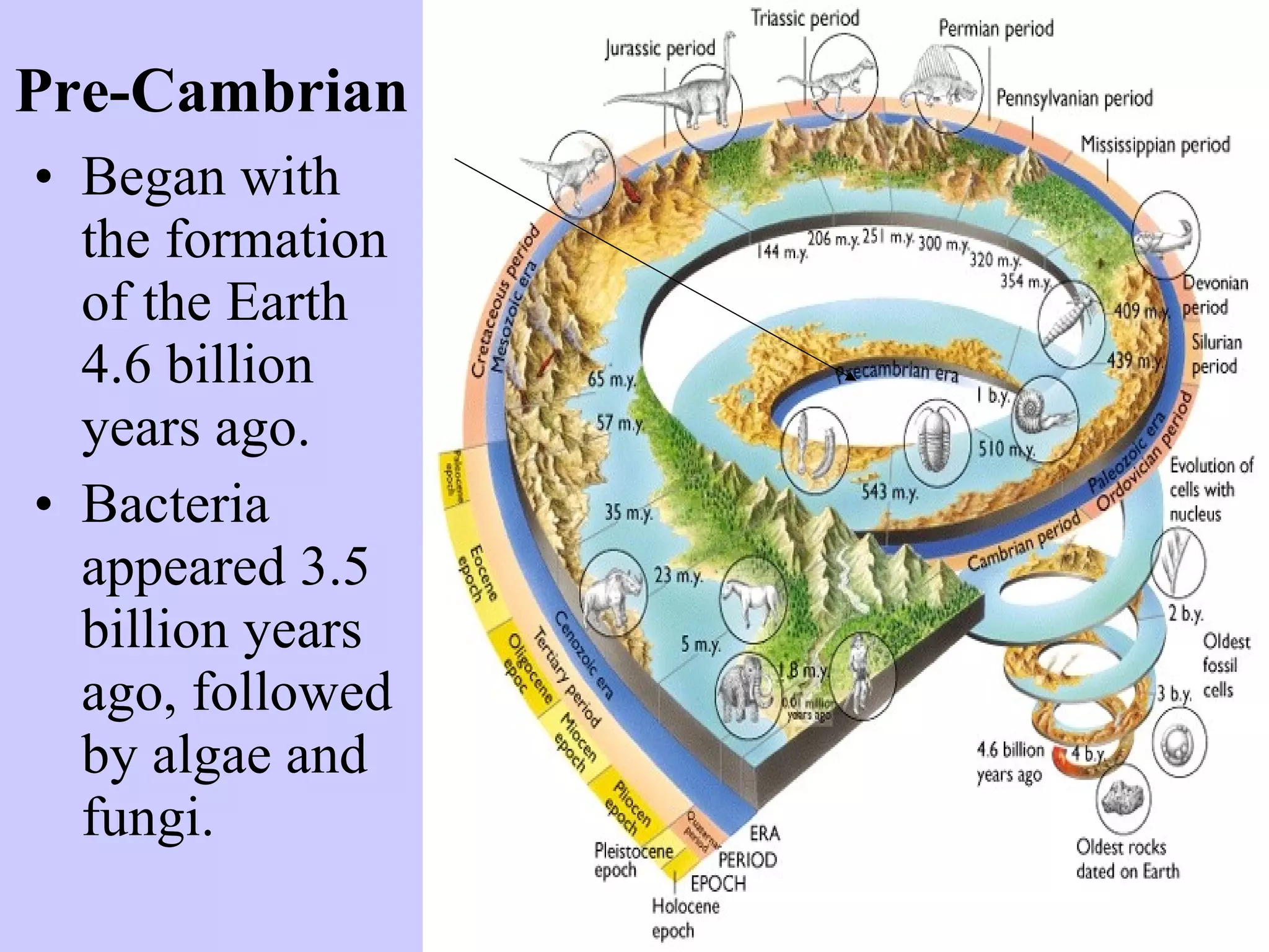 Geologic time scale | PPT