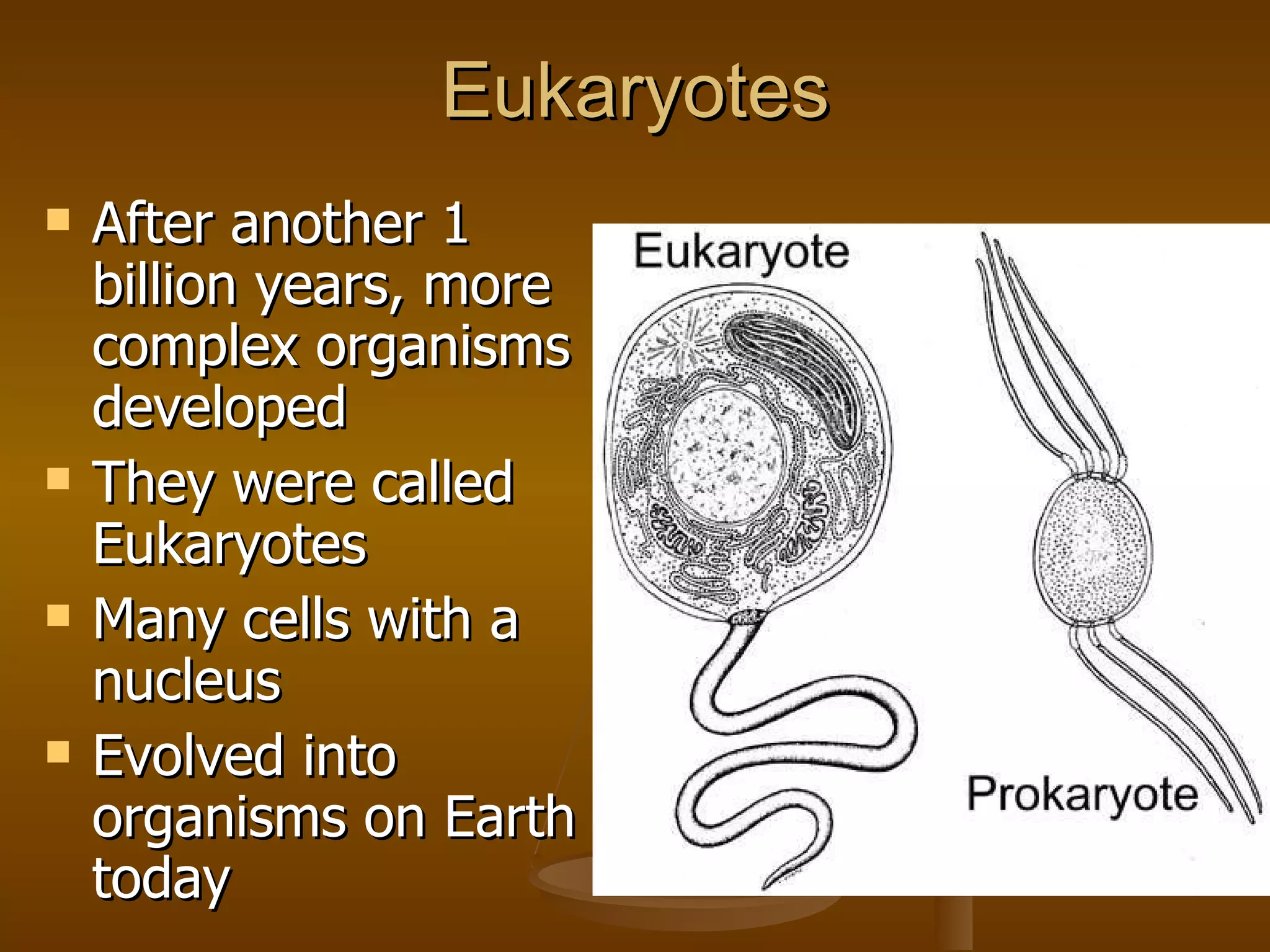 Eukaryotes After another 1 billion years, more complex organisms developed They were called Eukaryotes Many cells with a nucleus Evolved into organisms on Earth today 