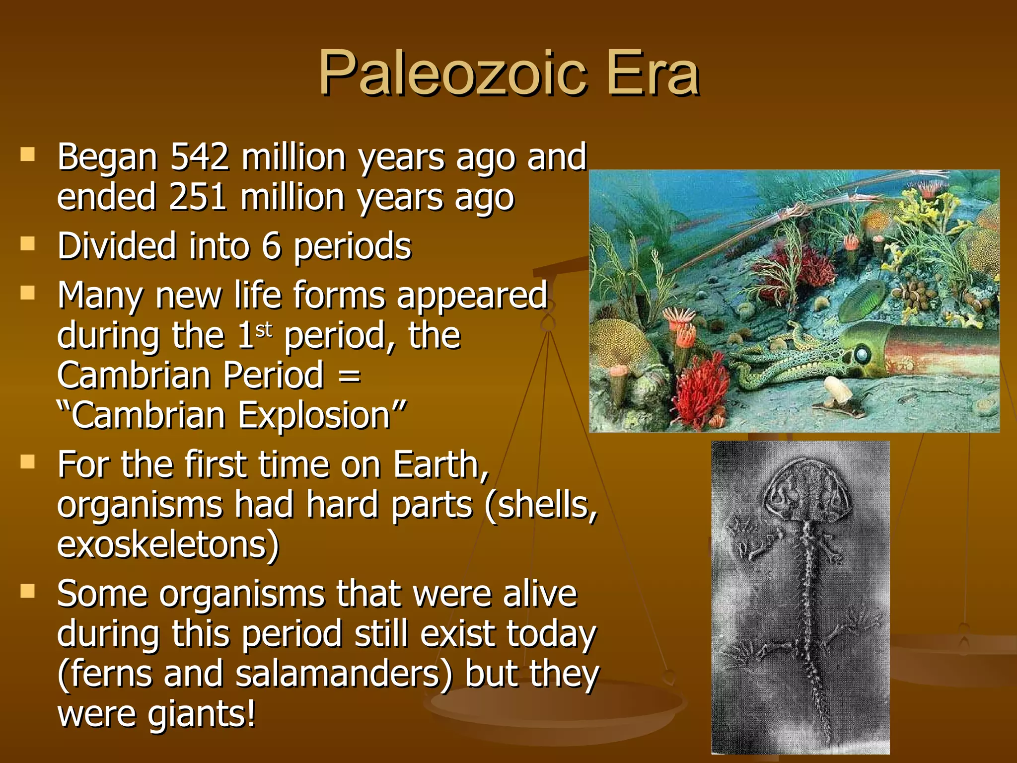 Paleozoic Era Began 542 million years ago and ended 251 million years ago Divided into 6 periods Many new life forms appeared during the 1 st  period, the Cambrian Period =  “Cambrian Explosion” For the first time on Earth, organisms had hard parts (shells, exoskeletons) Some organisms that were alive during this period still exist today (ferns and salamanders) but they were giants! 