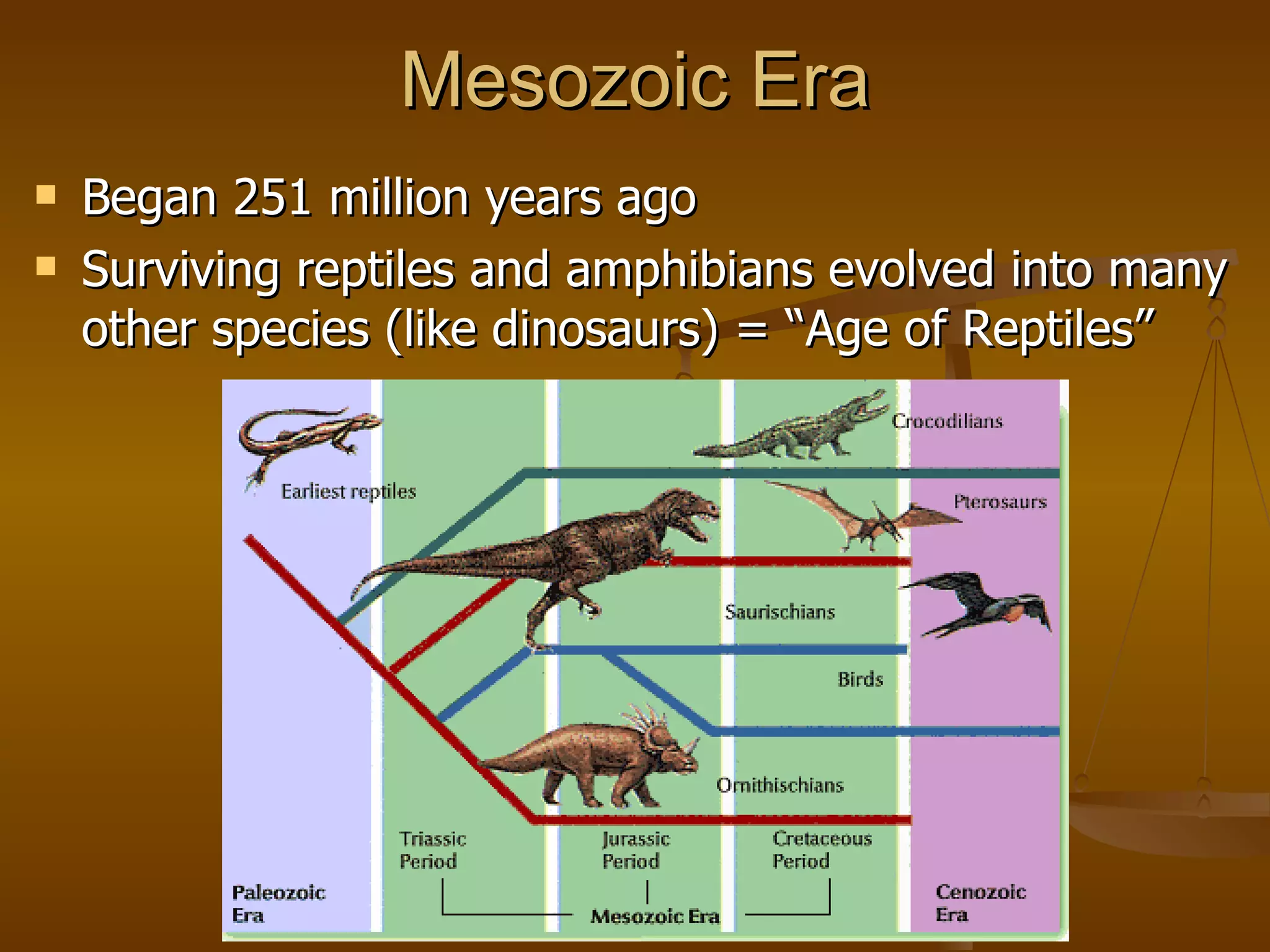Mesozoic Era Began 251 million years ago Surviving reptiles and amphibians evolved into many other species (like dinosaurs) = “Age of Reptiles” 