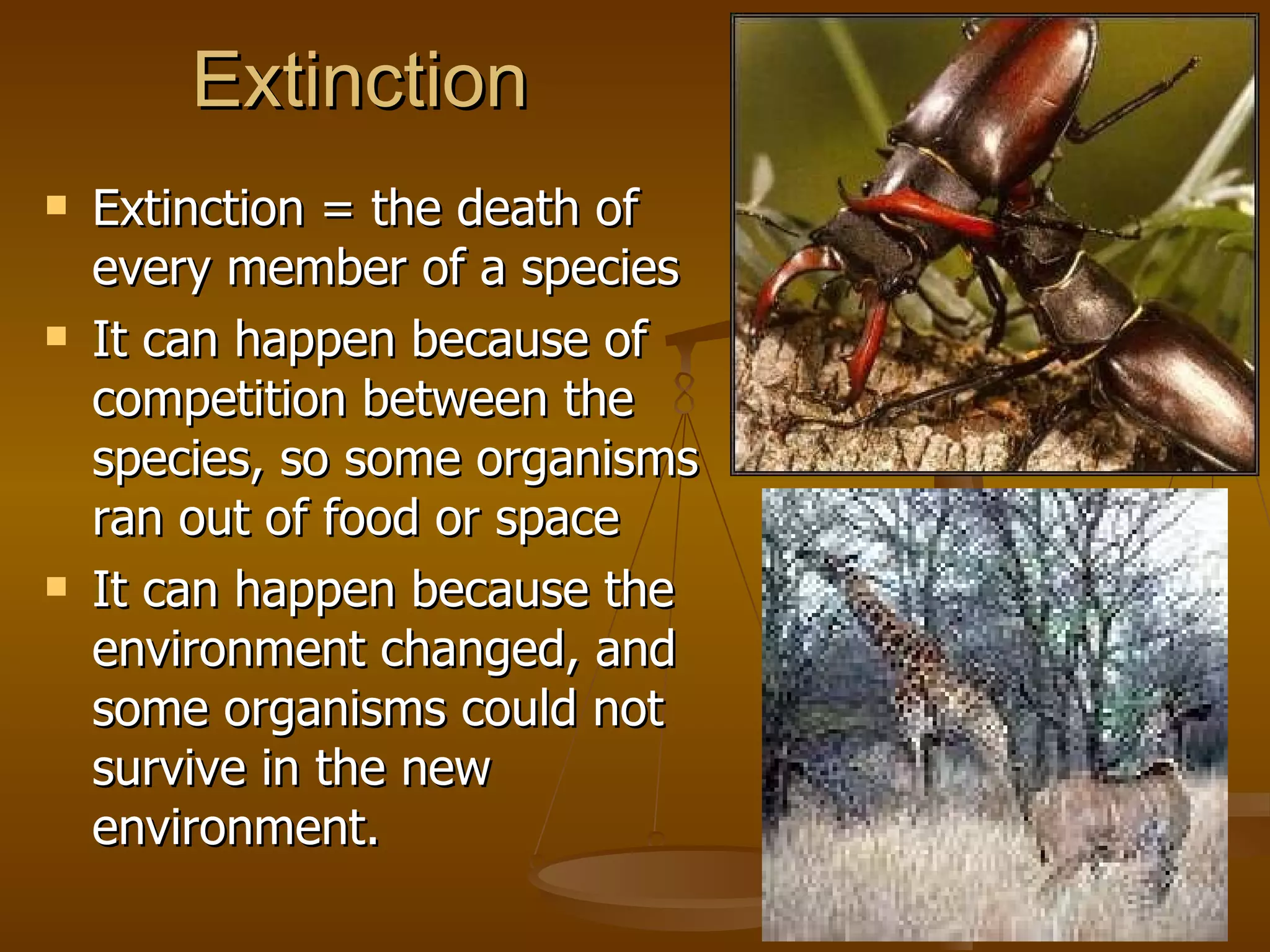 Extinction Extinction = the death of every member of a species It can happen because of competition between the species, so some organisms ran out of food or space It can happen because the environment changed, and some organisms could not survive in the new environment. 
