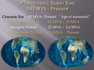 Phanerozoic Super Eon542 MYA - PresentCenozoic Era:    65 MYA– Present   “Age of mammals”Paleogene Period      	65 MYA –  23 MYA		Neogene Period  		23 MYA –  2.6 MYAQuaternary Period       	2.6 MYA –  Present