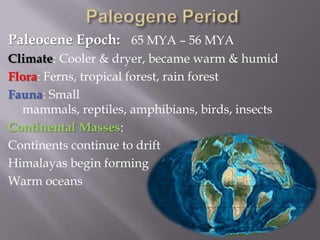 Paleogene PeriodPaleocene Epoch: 	65 MYA – 56 MYAClimate: Cooler & dryer, became warm & humidFlora: Ferns, tropical forest, rain forestFauna: Small mammals, reptiles, amphibians, birds, insectsContinental Masses:Continents continue to driftHimalayas begin formingWarm oceans