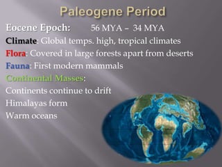 Paleogene PeriodEocene Epoch: 	56 MYA –  34 MYAClimate: Global temps. high, tropical climatesFlora: Covered in large forests apart from desertsFauna: First modern mammalsContinental Masses:Continents continue to driftHimalayas formWarm oceans