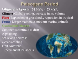 Paleogene PeriodOligocene Epoch: 	34 MYA –  23 MYAClimate: Global cooling, increase in ice volumeFlora: Expansion of grasslands, regression in tropicalFauna: Larger mammals, modern marine animalsContinental Masses:Continents continue to driftAlps risingSea levels decreaseOceans coolingFirst Antarctic	permanent ice-sheets