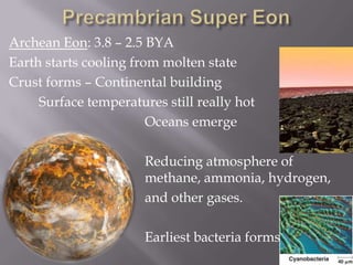 Precambrian Super EonArchean Eon: 3.8 – 2.5 BYAEarth starts cooling from molten stateCrust forms – Continental building		Surface temperatures still really hot					Oceans emerge				Reducing atmosphere of 		  			methane, ammonia, hydrogen, 				   	and other gases.				Earliest bacteria forms