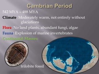 Cambrian Period542 MYA – 488 MYAClimate: Moderately warm, not entirely without 			glaciations Flora: No land plants, abundant fungi, algae Fauna: Explosion of marine invertebratesContinental Masses:			trilobite fossil